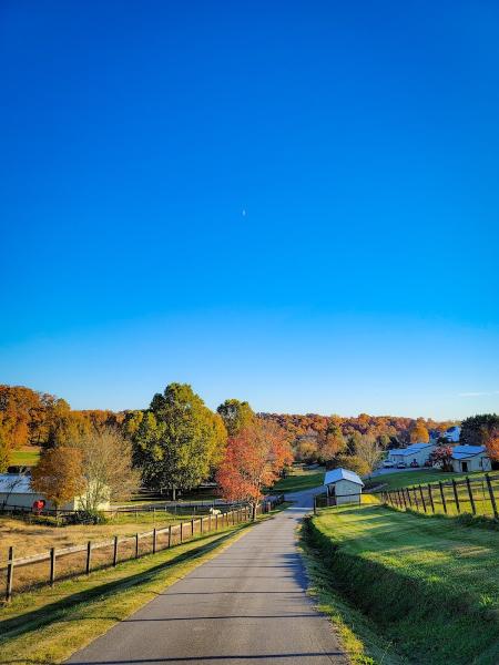 Noah's Ark Farm