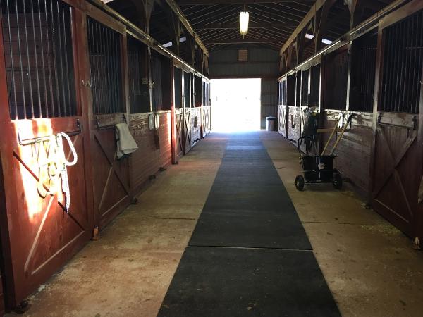 South Jersey Equestrian Center