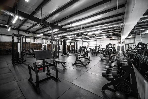 Iron Muscle & Fitness
