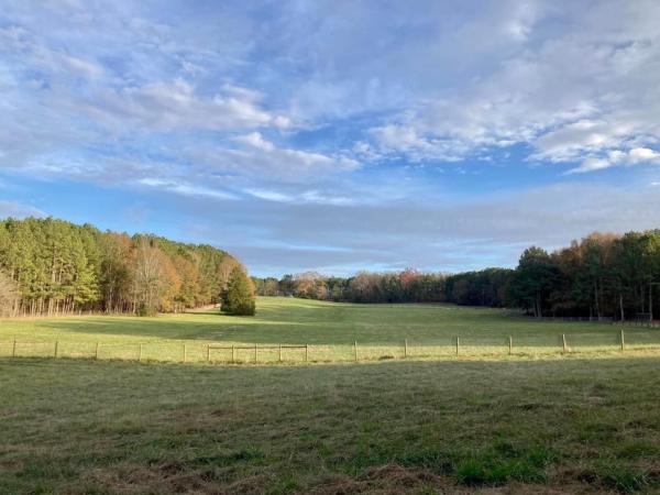 Apalachee Meadows