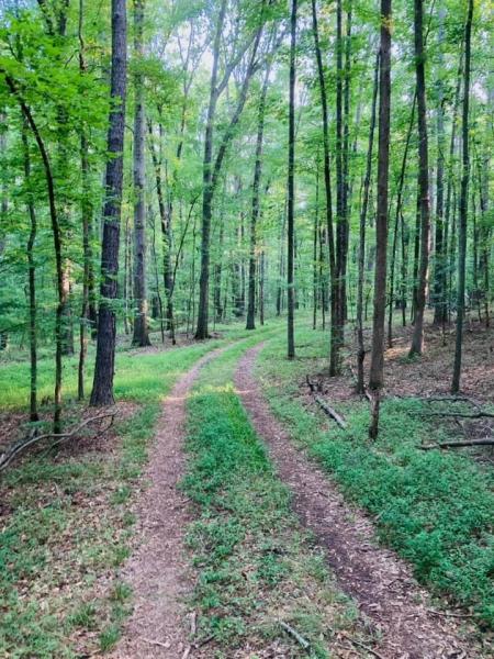 Apalachee Meadows