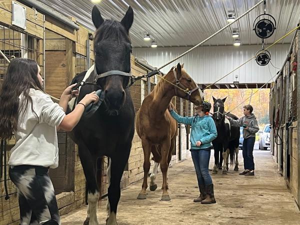 Mayhem Stables