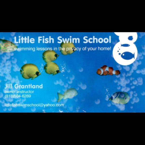 Little Fish Swim School