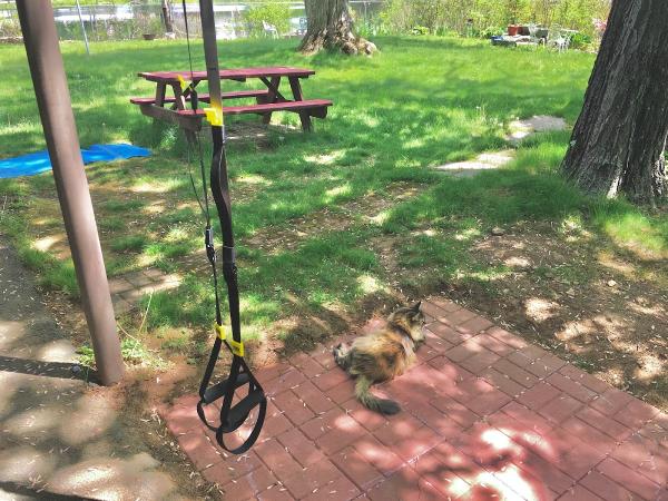 Fitness With Jennifer LLC