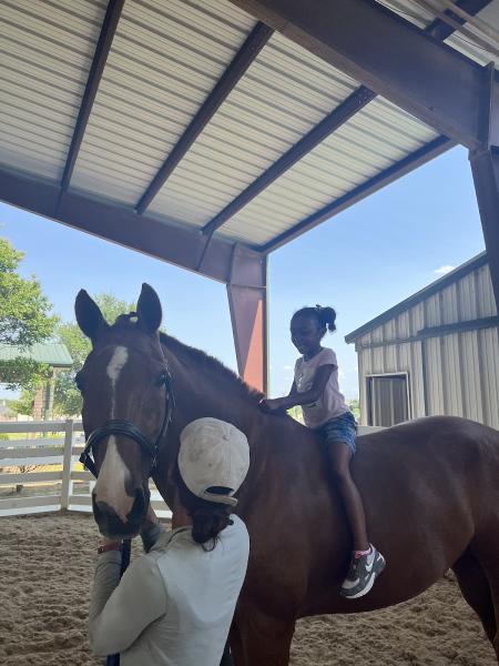 Saddlebrook Equestrian Center