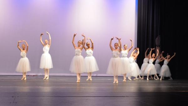 Dance Arts Conservatory Inc