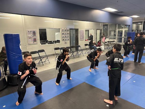 Elite Martial Arts Academy