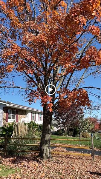 Skills Driving School