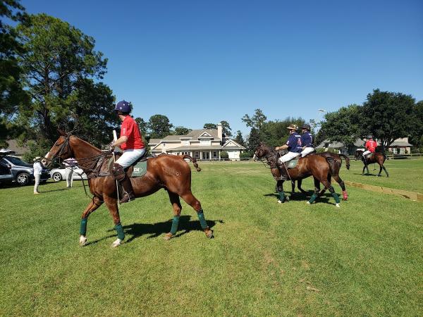 Rose Hill Equestrian Center