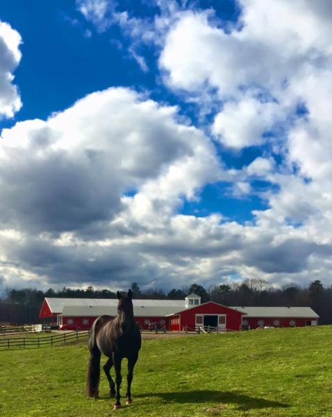 River Road Riding Club- Horse Boarding