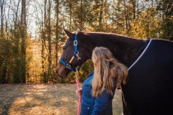 Graystone Stables