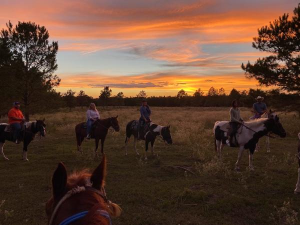 Cowboy Country Life