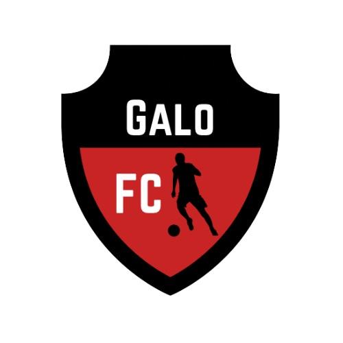 Galofc LLC