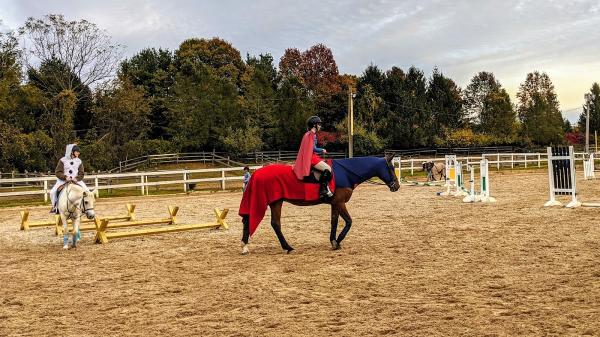 Gold Coast Equestrian