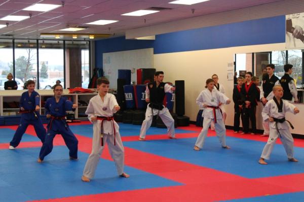 Kim's World Champion TKD Academy