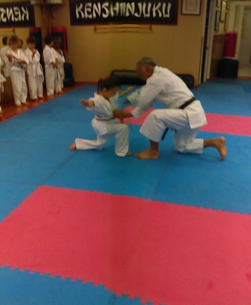 Kenshinjuku Karate