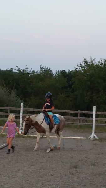 Vista View Stables