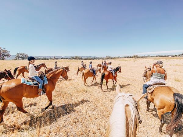 Little Big Riding School