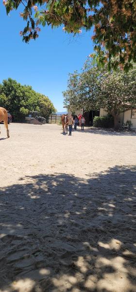 Little Big Riding School