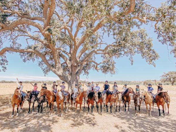 Little Big Riding School