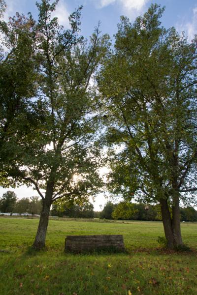 Oak View Stables