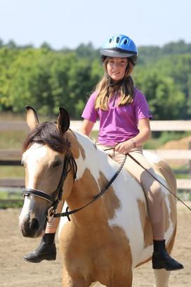 New Generation Equestrian Services