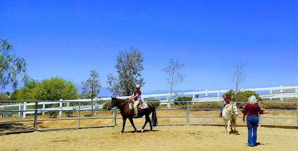 Riding Lessons With Debra Hardman