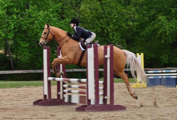 Jumpers Academy