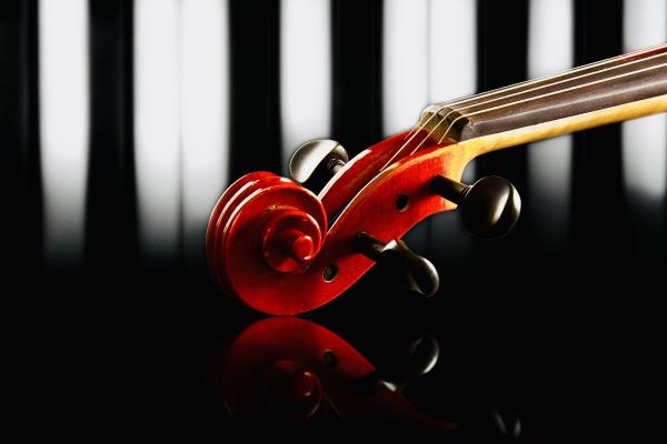 Astoria Violin and Piano Lessons