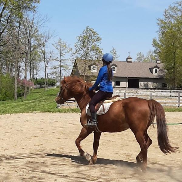 Darby Creek Horse Farm LLC