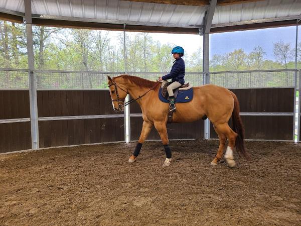 Darby Creek Horse Farm LLC