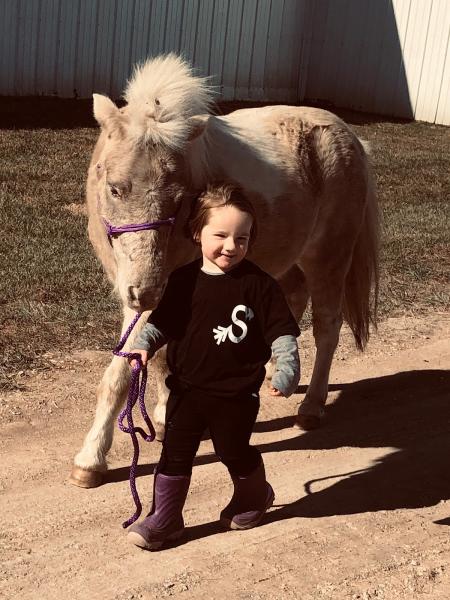Arrow S Equine