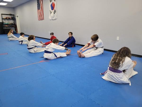 Blue Ridge Taekwondo of East Asheville