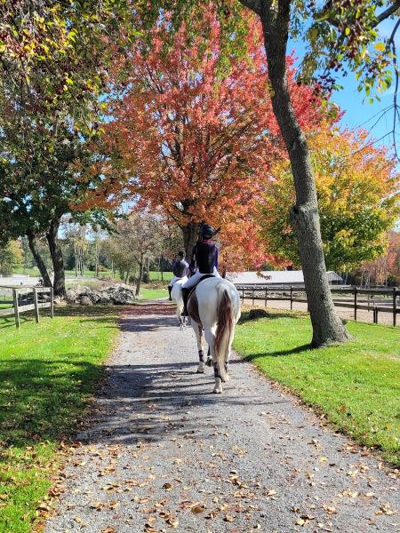 Palmer River Equestrian Center