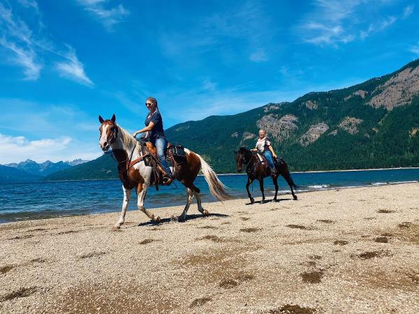 Mantese Ranch Horse Boarding