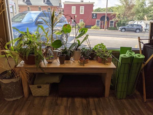 Sunlight Yoga + Apothecary