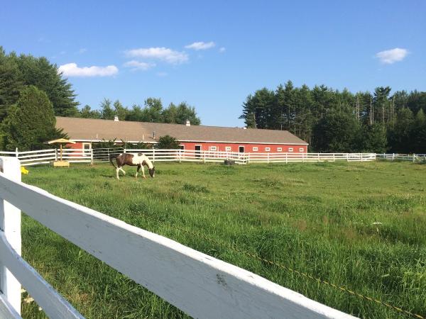 Living Wells Farm (Equestrian Facility)