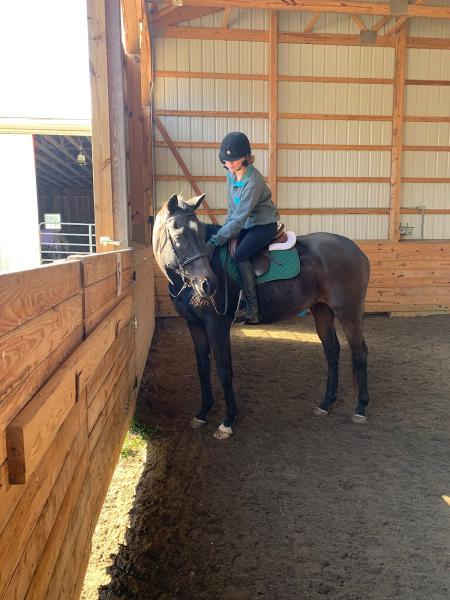 Whispering Willow Equestrian Center