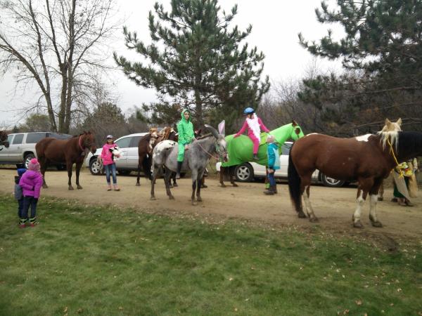 Sunnyside Stables