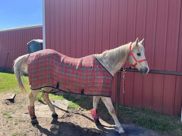 Sunnyside Stables