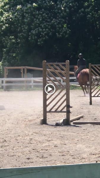 Trish Franks Riding School / Natchez Bend Performance Centre LLC