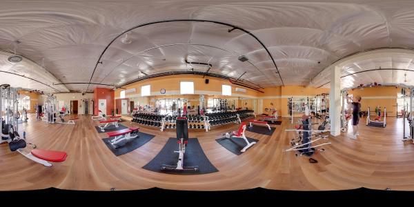 Toadal Fitness
