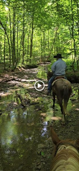 Havens Hideout Ranch