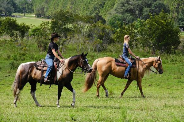 Chris Boyer Horsemanship Training