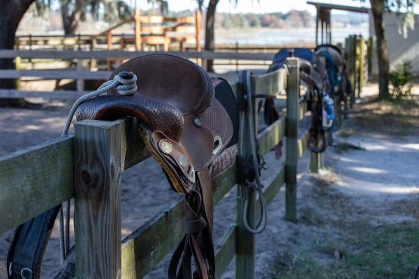 Chris Boyer Horsemanship Training