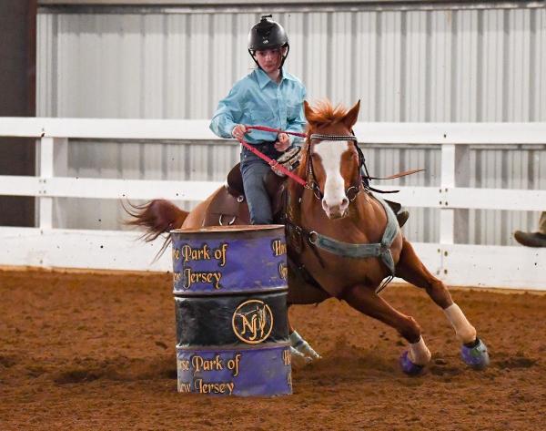 AW Perfomance Horses