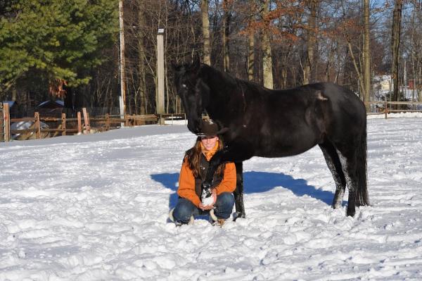 AW Perfomance Horses