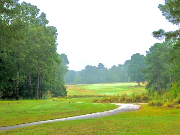 Bayonet At Puppy Creek