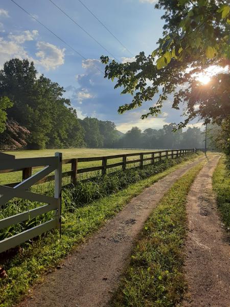 Dovetail Farm Horse Boarding