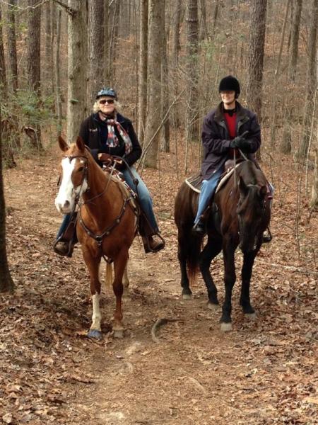 Dovetail Farm Horse Boarding